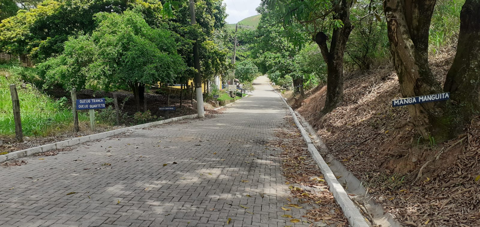Rua pavimentada na Rota do Queijo de João Neiva, em Cavalinho