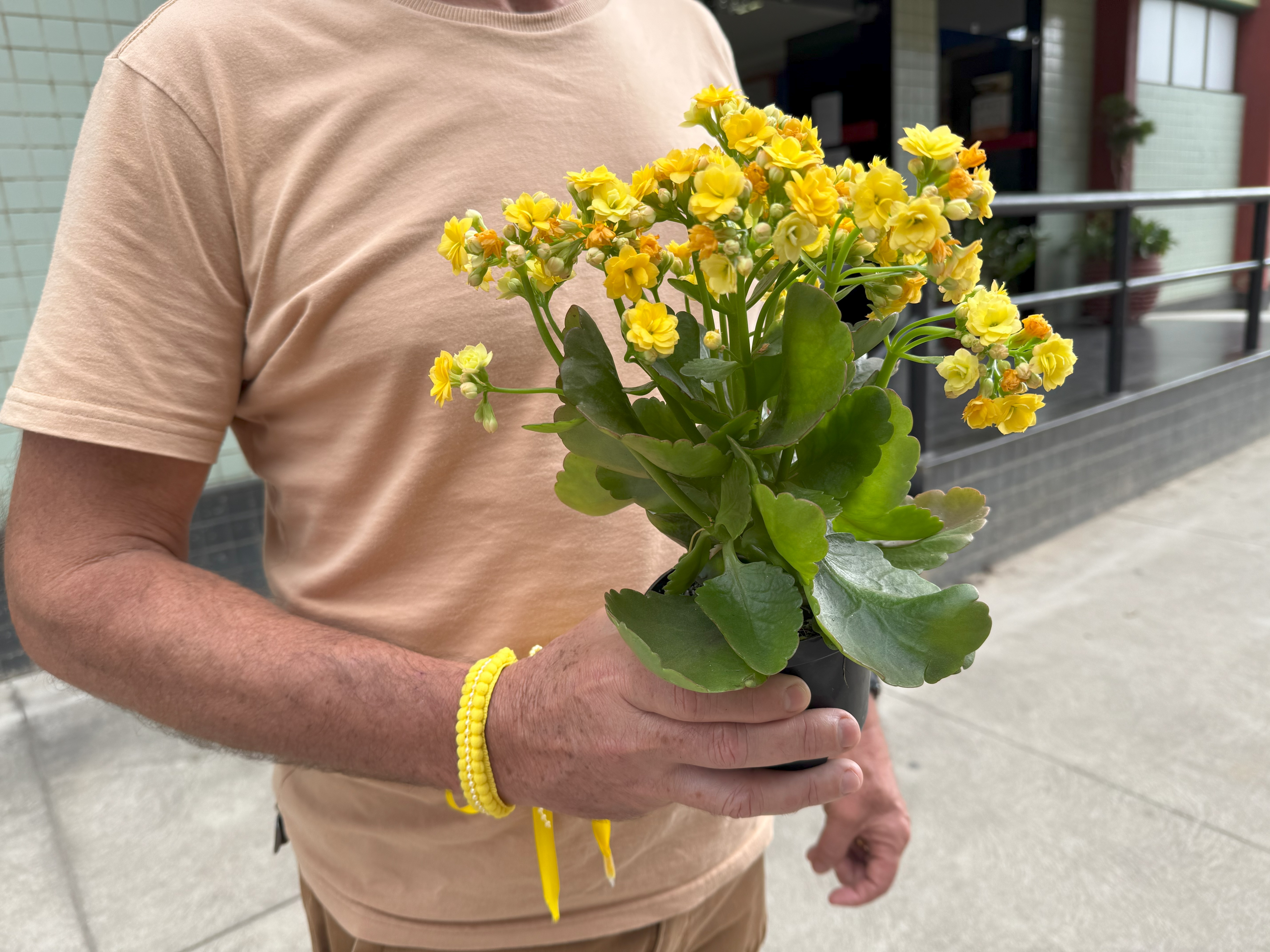 Depressão, ansiedade e outros transtornos emocionais não são frescura, nem fraqueza, nem falta de fé. São questões reais, que pedem atenção, carinho e tratamento.