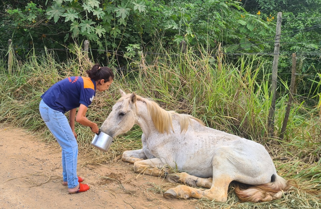 A coordenadora da Defesa Civil de João Neiva, Carmem Lúcia dos Santos Barros, em ação durante atividades no município.