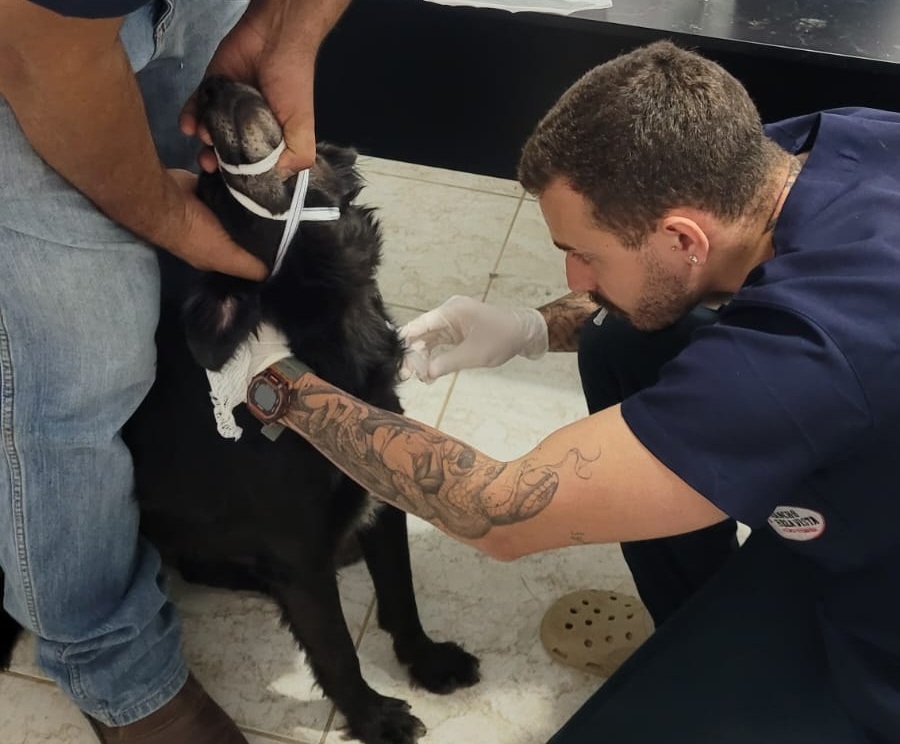 O programa existe em João Neiva desde o ano passado.