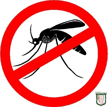 João Neiva em alerta para dengue, zika e chikungunya 