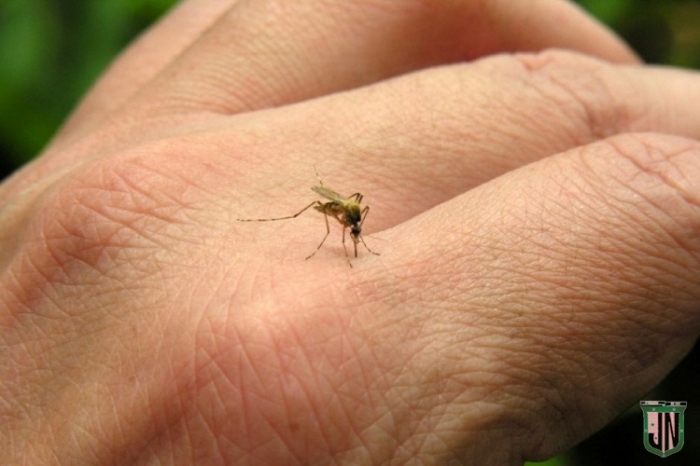 Controle o Aedes Aegypti em sua residência 