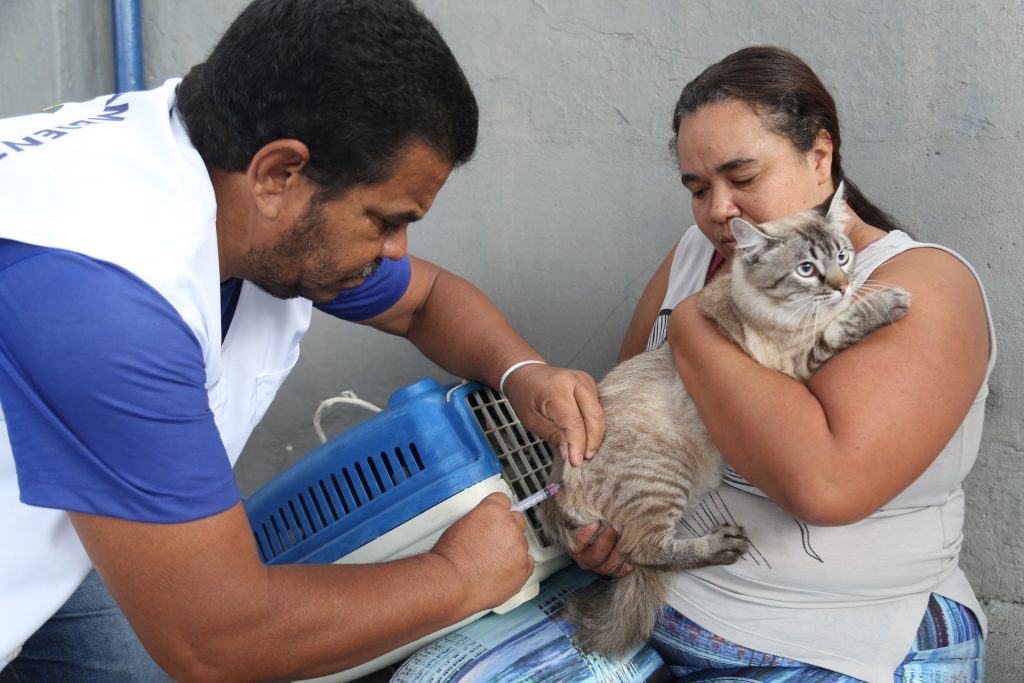 A vacinação de cães e gatos deve ser realizada anualmente.