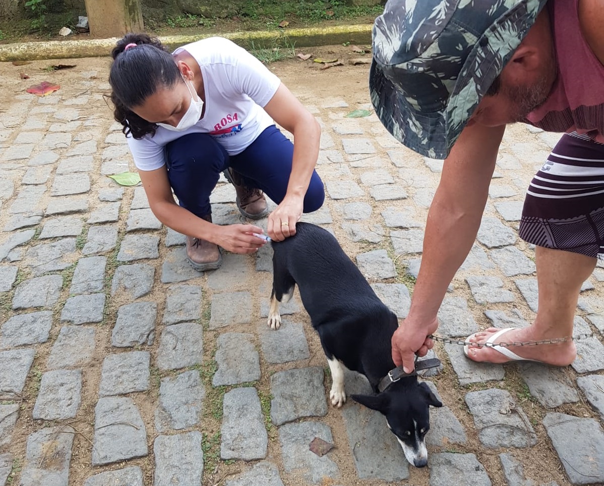 Quem não conseguiu imunizar seu bichinho é só entrar em contato com a Vigilância em Saúde.
